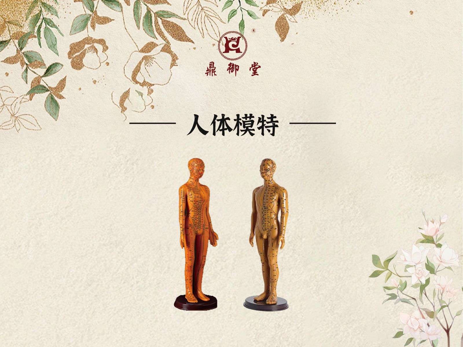 人体模特